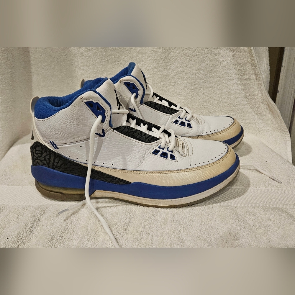 JORDAN 2.5 TEAM SNEAKERS
